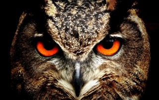 Kan kristne stille spørsmål ved Bibelen?